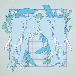 metcn专柳青青的专辑欣赏
